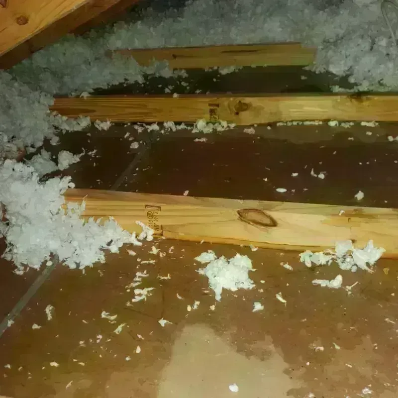 Attic Water Damage in Martins Ferry, OH