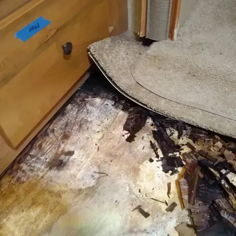 Best Wood Floor Water Damage Service in Martins Ferry, OH